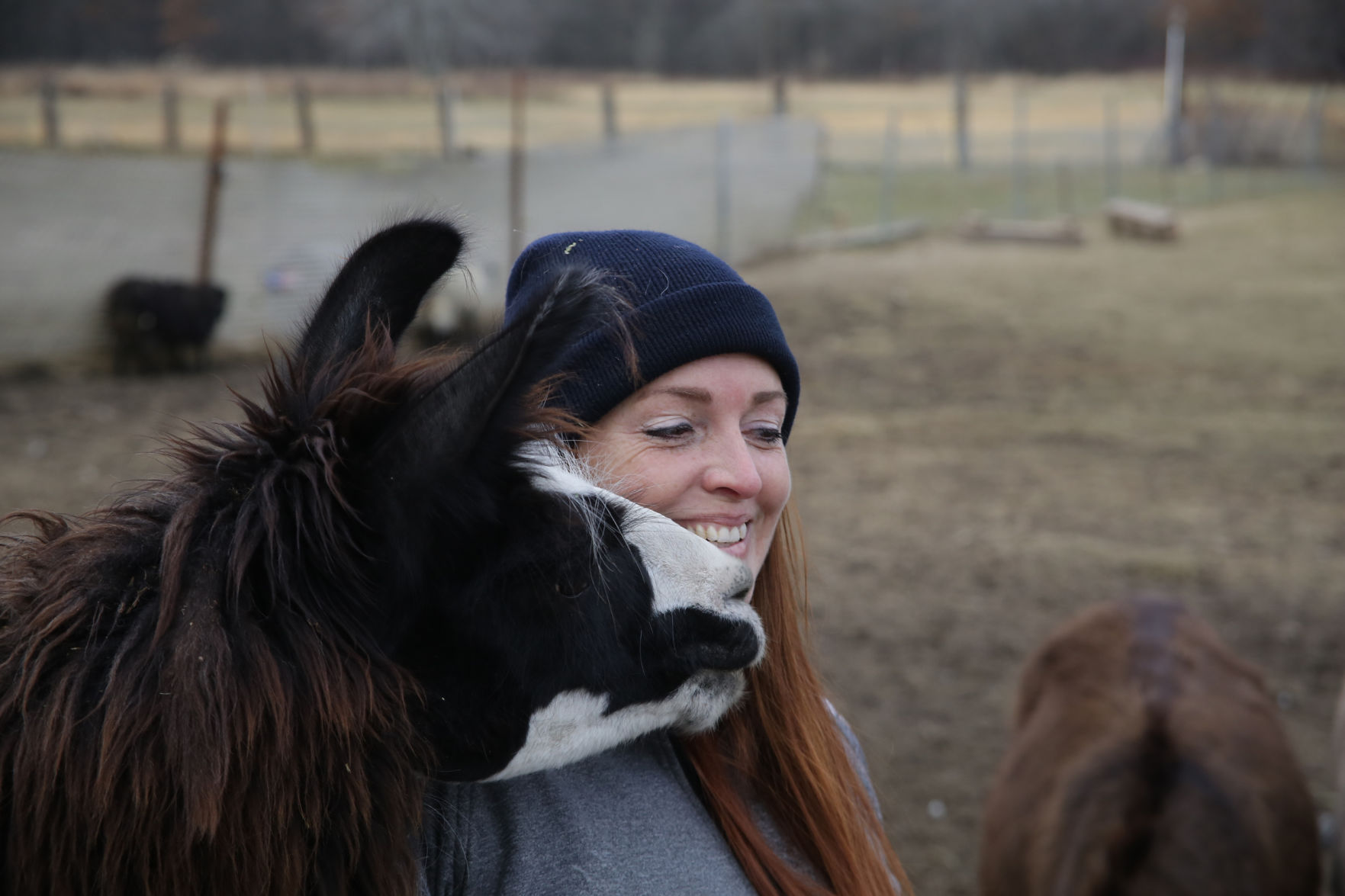 Erin's Farm animal sanctuary